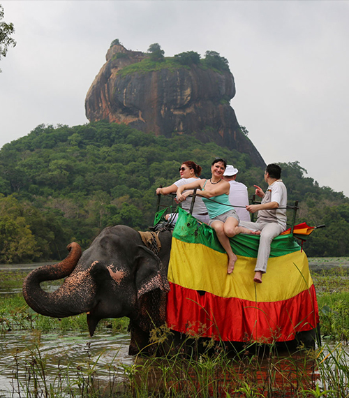 Elephant Rides